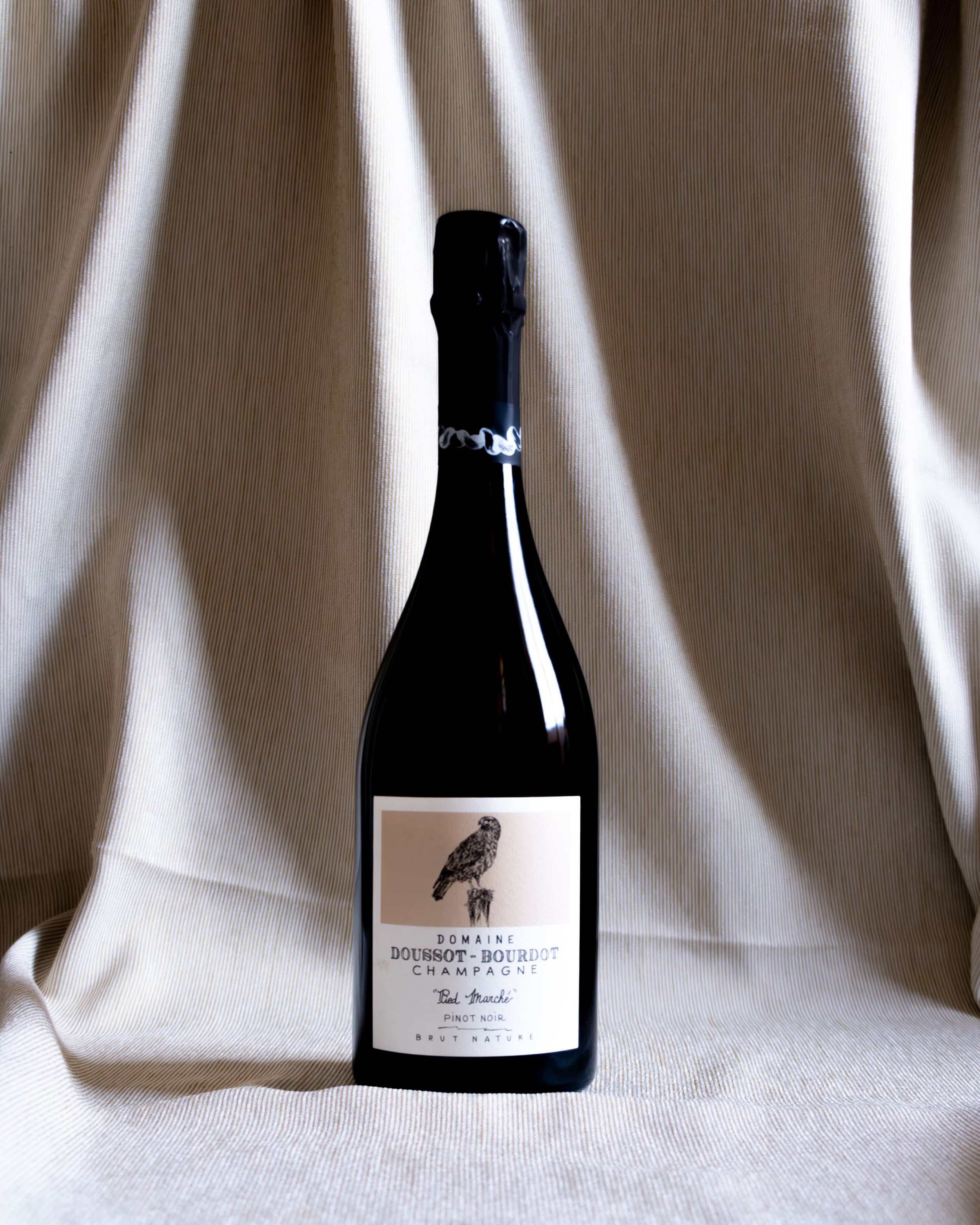 Gut Oggau - Josephine 2023 — Zankl's Weine